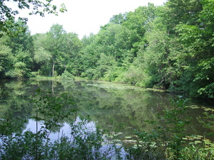 Appalachian Trail Appalachian Trail