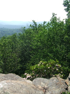 Appalachian Trail Appalachian Trail