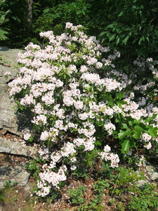 Appalachian Trail Appalachian Trail