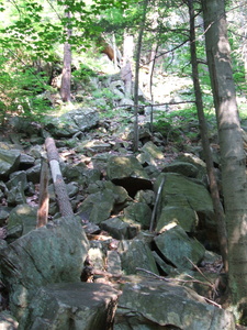 Appalachian Trail Appalachian Trail