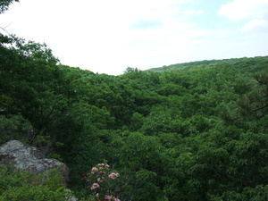 Appalachian Trail Appalachian Trail