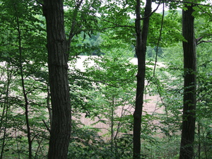 Appalachian Trail Meadow through the trees Appalachian Trail Meadow through the trees