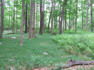 Appalachian Trail Appalachian Trail