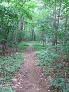 Appalachian Trail Appalachian Trail
