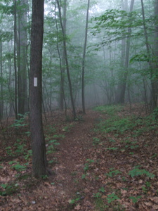 Appalachian Trail Appalachian Trail