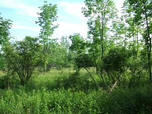 Appalachian Trail Appalachian Trail