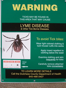 Appalachian Trail Wrong size deer tick Appalachian Trail Wrong size deer tick