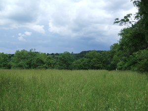 Appalachian Trail Meadow Appalachian Trail Meadow
