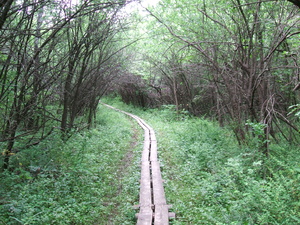 Appalachian Trail Appalachian Trail