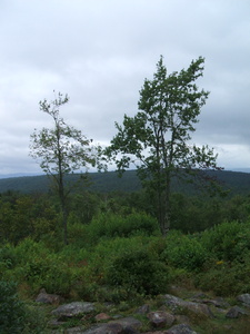 Appalachian Trail Appalachian Trail