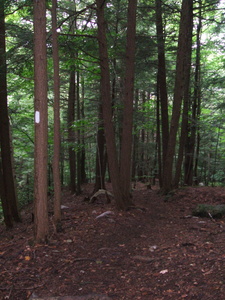 Appalachian Trail Appalachian Trail