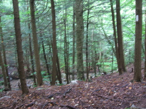 Appalachian Trail Appalachian Trail