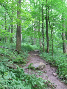 Appalachian Trail Appalachian Trail
