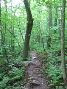 Appalachian Trail Appalachian Trail