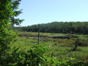 Appalachian Trail Appalachian Trail