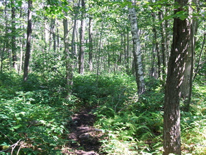 Appalachian Trail Appalachian Trail