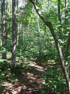 Appalachian Trail Appalachian Trail