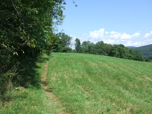 Appalachian Trail Beside farmer's field Appalachian Trail Beside farmer's field