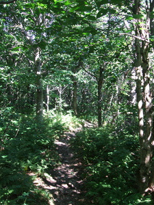 Appalachian Trail Appalachian Trail