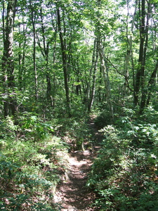 Appalachian Trail Appalachian Trail