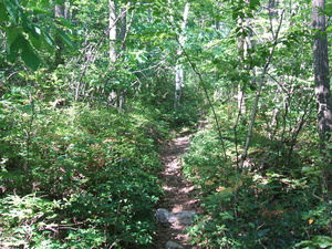Appalachian Trail Appalachian Trail