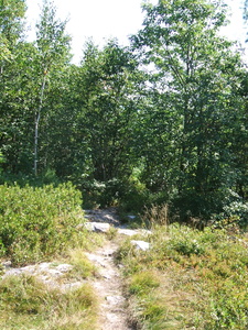 Appalachian Trail Appalachian Trail