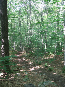Appalachian Trail Appalachian Trail