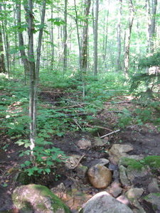 Appalachian Trail Appalachian Trail