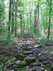 Appalachian Trail Appalachian Trail