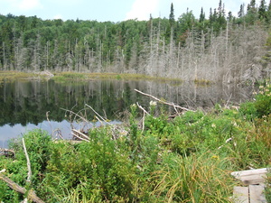 Appalachian Trail Appalachian Trail