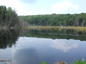 Appalachian Trail Appalachian Trail