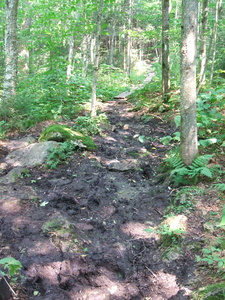 Appalachian Trail Muddy Appalachian Trail Muddy