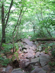 Appalachian Trail Appalachian Trail