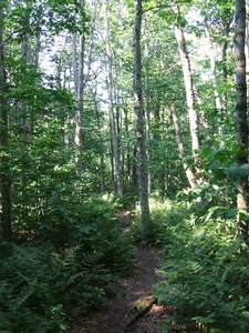 Appalachian Trail Appalachian Trail