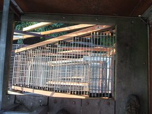 Appalachian Trail Looking down from fire tower. (Little Pond Lookout) Appalachian Trail Looking down from fire tower. (Little Pond Lookout)
