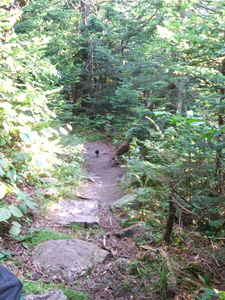 Appalachian Trail Sound Recording Appalachian Trail Sound Recording
