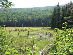 Appalachian Trail Appalachian Trail