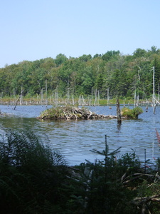 Appalachian Trail Appalachian Trail