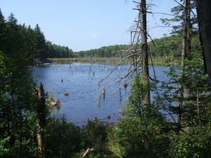 Appalachian Trail Appalachian Trail