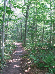 Appalachian Trail Appalachian Trail