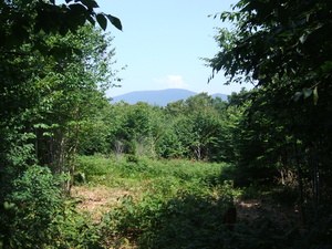 Appalachian Trail Appalachian Trail