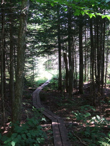 Appalachian Trail Appalachian Trail