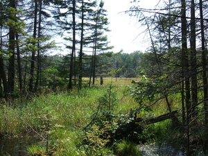 Appalachian Trail Appalachian Trail