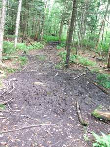 Appalachian Trail Appalachian Trail