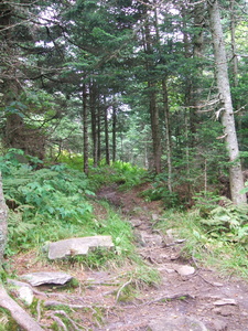Appalachian Trail Appalachian Trail