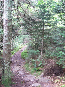 Appalachian Trail Appalachian Trail