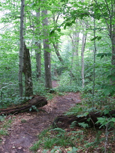 Appalachian Trail Appalachian Trail