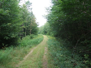 Appalachian Trail Appalachian Trail