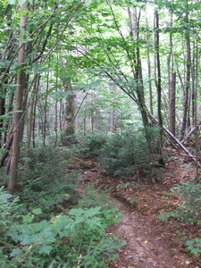 Appalachian Trail Appalachian Trail