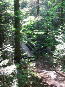 Appalachian Trail Appalachian Trail